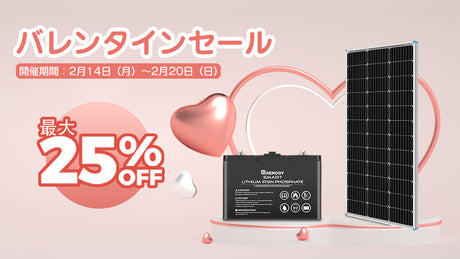 特別限定割引で2個以上がお得に!バレンタインセール開催中!