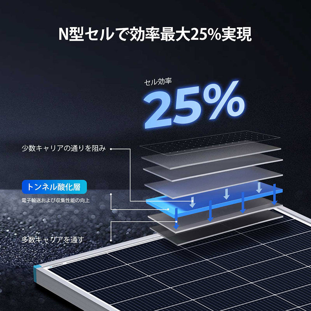 Renogy 200W 24V N型高効率 ソーラーパネル