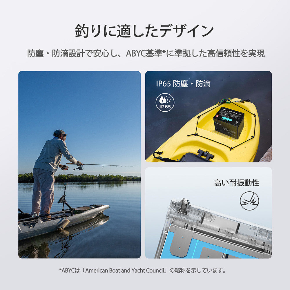 12V 300Ah/200Ah/100Ah Core シリーズ Mini リン酸鉄リチウムイオンバッテリー