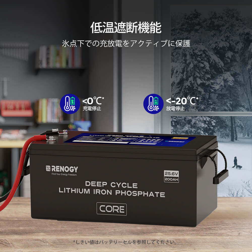 Renogy ヒート機能付き 24V 200Ah リン酸鉄リチウムイオンバッテリー+2000W 24V 純正弦波インバーター+60A MPPT チャージコントローラー セット