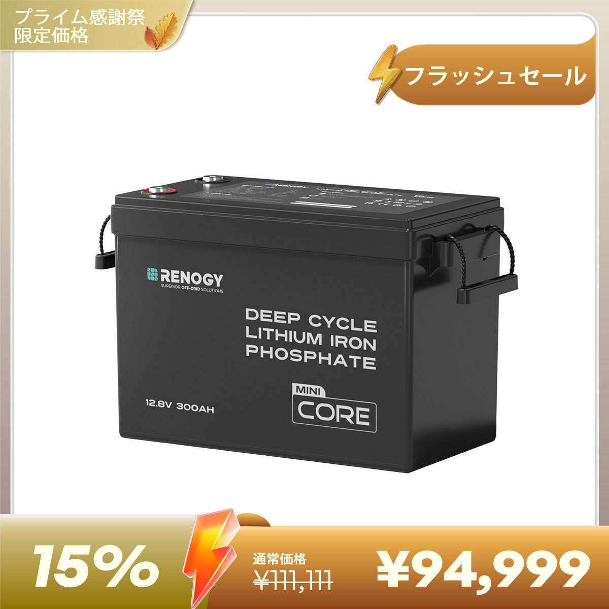 12V 300Ah/200Ah/100Ah Core シリーズ Mini リン酸鉄リチウムイオンバッテリー
