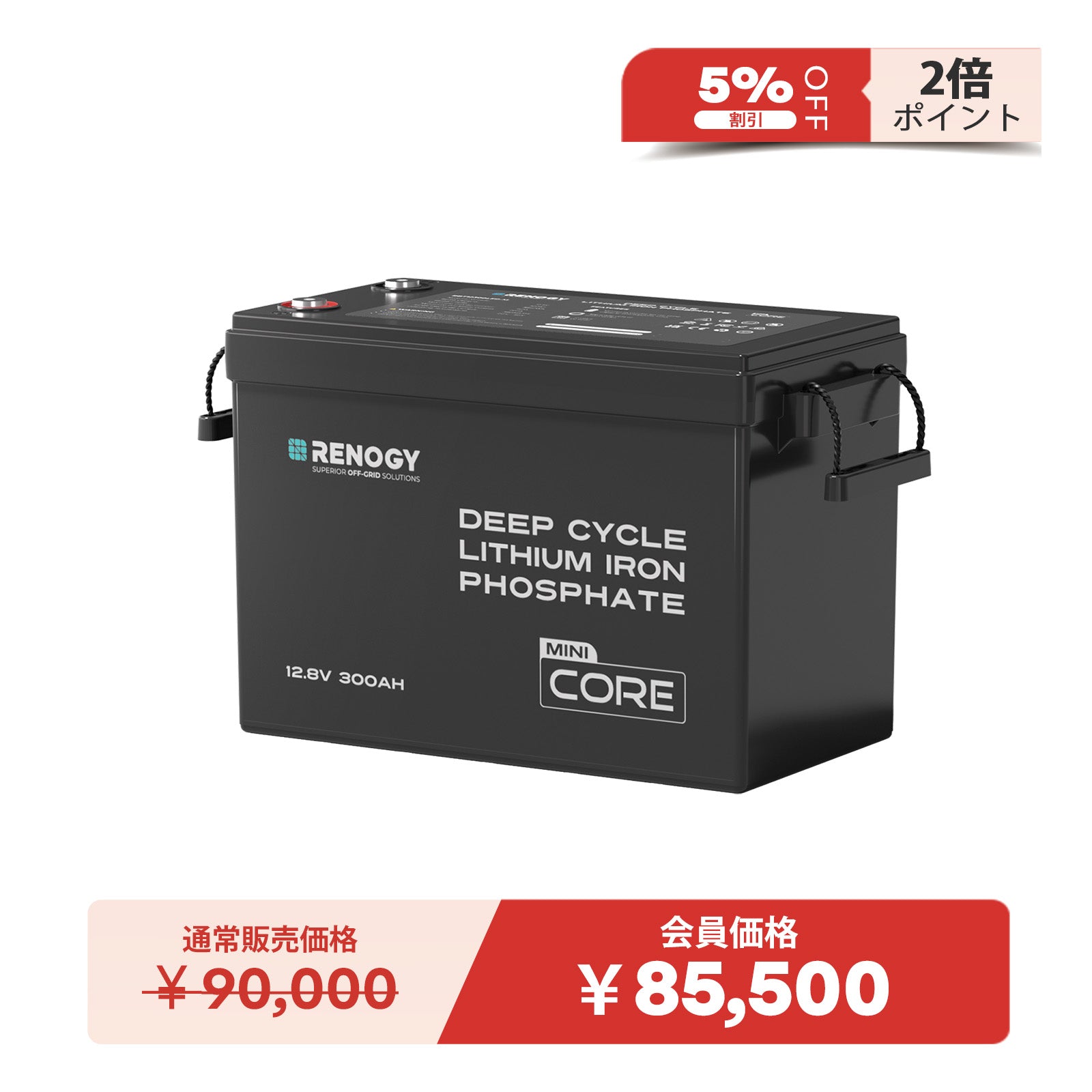 リチウムイオンバッテリー12V、40A RBT12300LFP-M_ab12bbf2-4552-