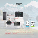 RENOGY PWMチャージコントローラー10A WANDERER シリーズ