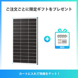 100W/200W N-Type 両面発電ソーラーパネル