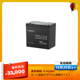 12V 300Ah/200Ah/100Ah Core シリーズ Mini リン酸鉄リチウムイオンバッテリー