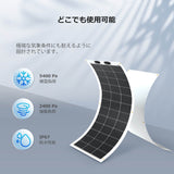 RENOGY フレキシブルソーラーパネル100W