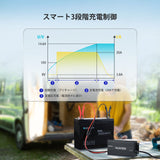 12V 20A AC-DC リン酸鉄リチウムイオンバッテリー専用充電器