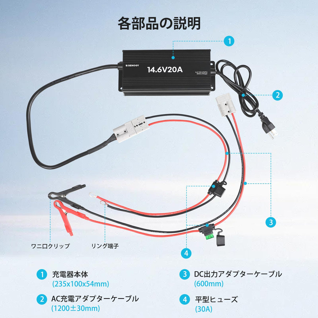 12V 20A AC-DC リン酸鉄リチウムイオンバッテリー専用充電器