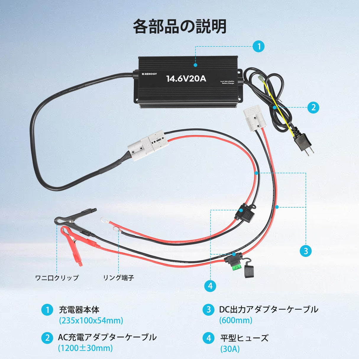 12V 20A AC-DC リン酸鉄リチウムイオンバッテリー専用充電器