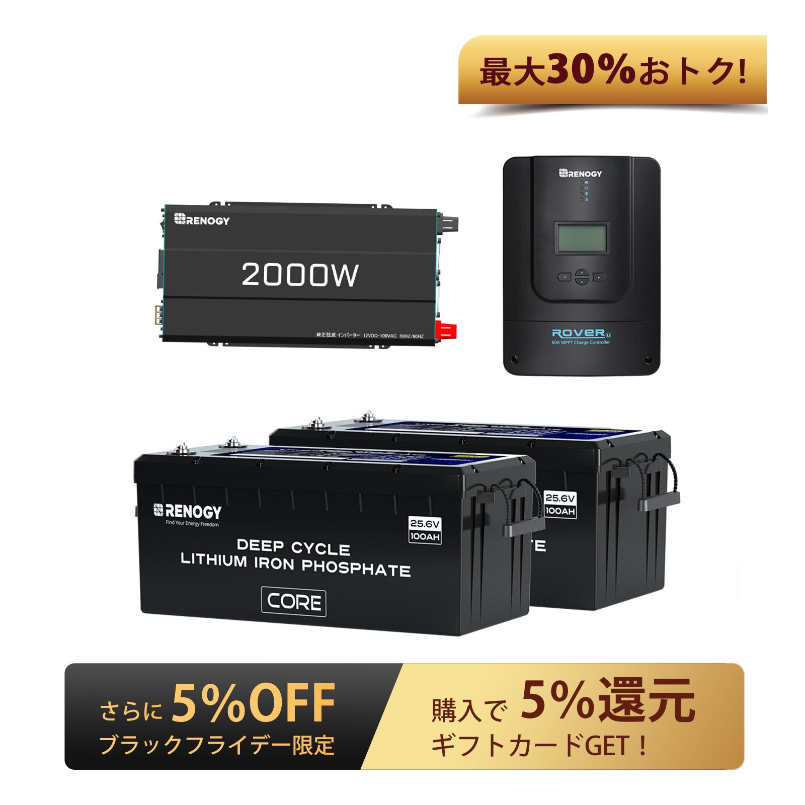 Renogy レノジー リン酸鉄リチウムイオンバッテリー 専用充電器12V20A リン酸鉄リチウムイオンバッテリー専用充電器12V 20A | Renogy JP