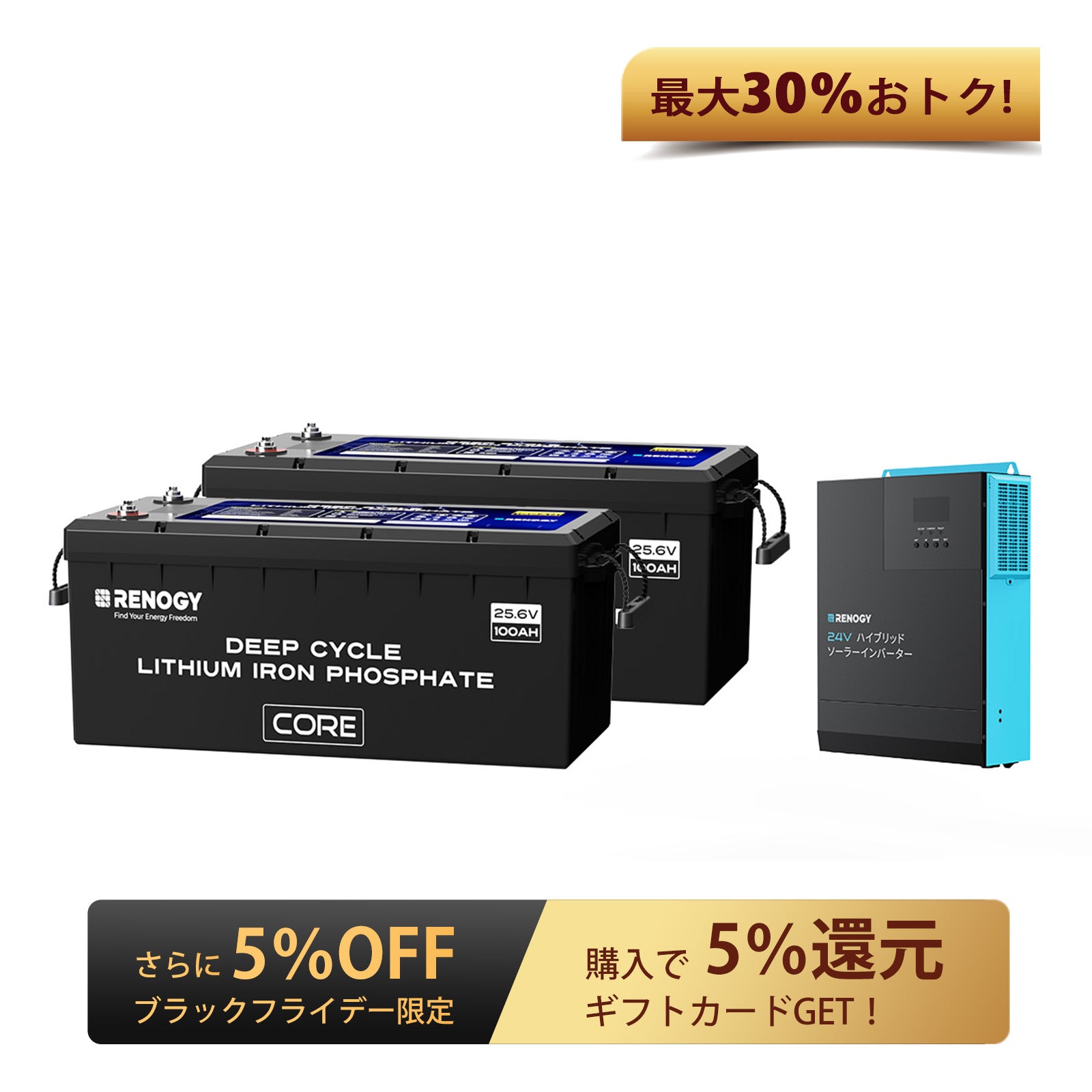 リン酸鉄リチウムイオンバッテリー専用充電器12V 20A | Renogy JP