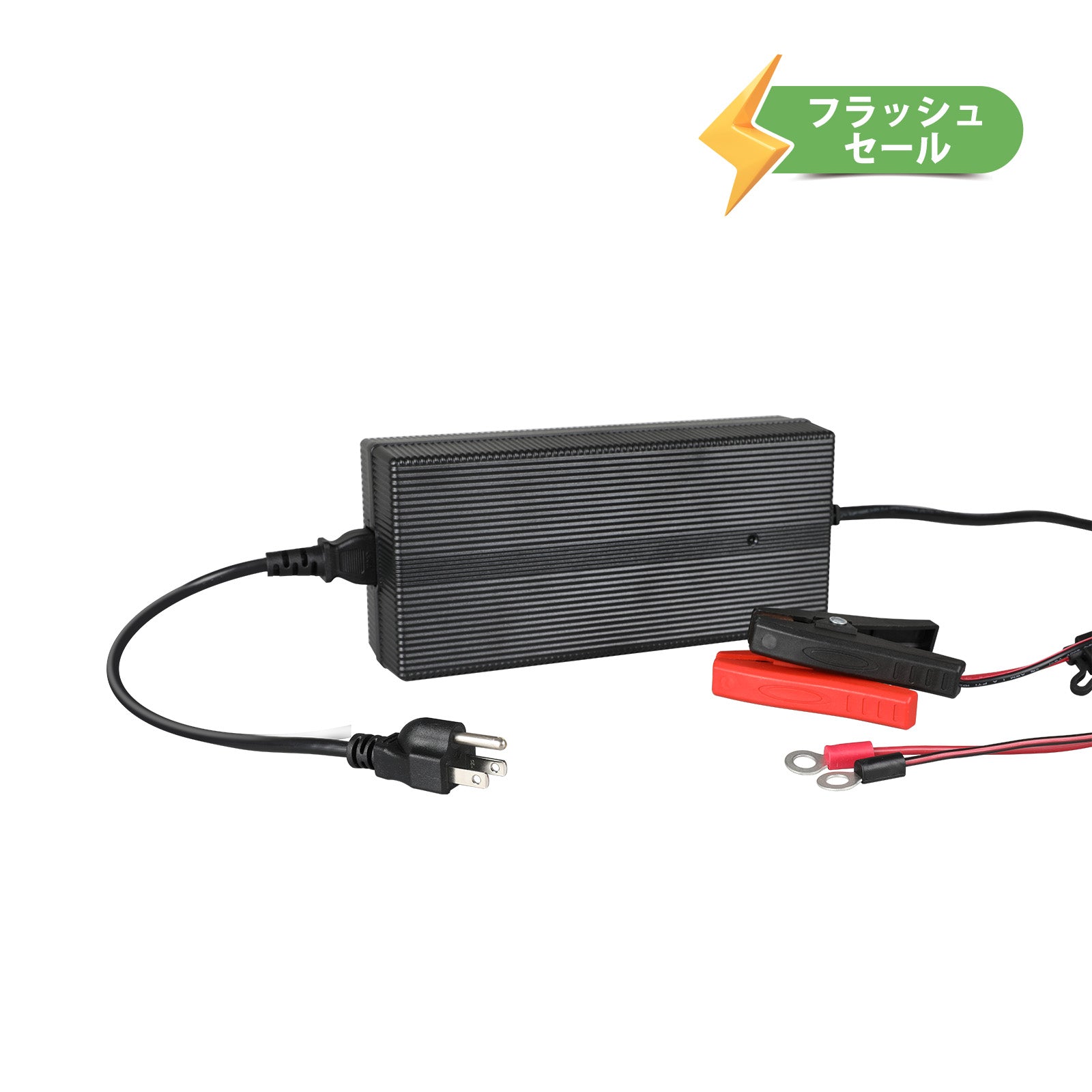 リン酸鉄リチウムイオンバッテリー専用充電器 24V 10A | Renogy JP