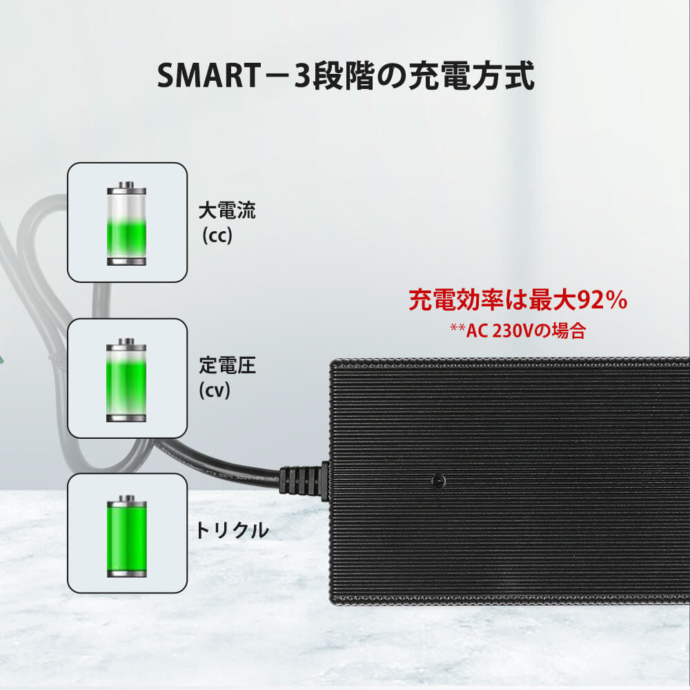 リン酸鉄リチウムイオンバッテリー専用充電器24V 10A