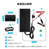 リン酸鉄リチウムイオンバッテリー専用充電器12V 20A