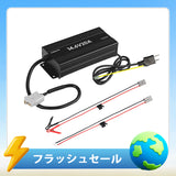 12V 20A AC-DC リン酸鉄リチウムイオンバッテリー専用充電器