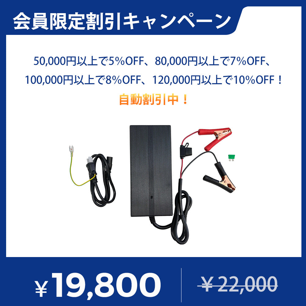 12V 20A リン酸鉄リチウムイオンバッテリー専用充電器