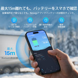 Renogy Reserve Mini スマート 12V 200Ah&314Ah