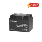 ヒート機能付き 12V 200Ah/100Ah Pro シリーズ リン酸鉄リチウムイオンバッテリー Bluetooth内蔵