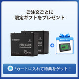 ヒート機能付き 12V 100Ah Coreシリーズ  Mini リン酸鉄リチウムイオンバッテリー