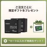 ヒート機能付き 12V 100Ah Coreシリーズ  Mini リン酸鉄リチウムイオンバッテリー