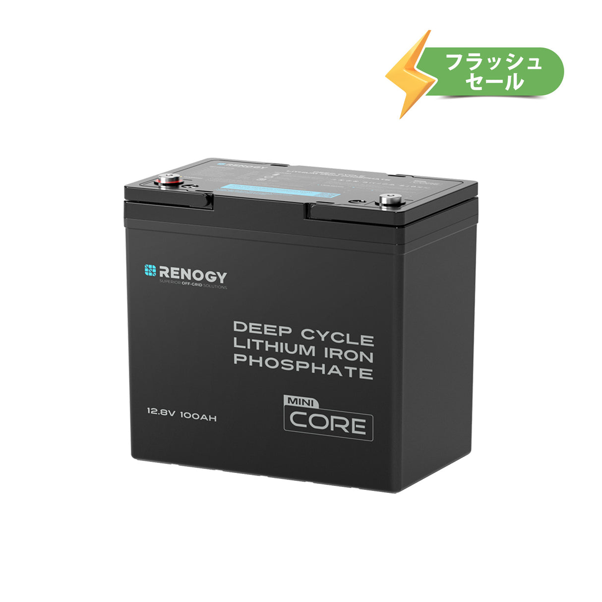 12V 300Ah/200Ah/100Ah Core シリーズ Mini リン酸鉄リチウムイオンバッテリー