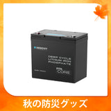 12V 300Ah/200Ah/100Ah Core シリーズ Mini リン酸鉄リチウムイオンバッテリー