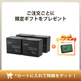 【2点/4点セット】12V 100Ah Core シリーズ Mini リン酸鉄リチウムイオンバッテリー