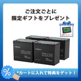 12V 300Ah/200Ah/100Ah Core シリーズ Mini リン酸鉄リチウムイオンバッテリー