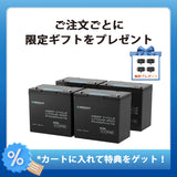 12V 300Ah/200Ah/100Ah Core シリーズ Mini リン酸鉄リチウムイオンバッテリー