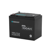 12V 100Ah トローリングモーターリン酸鉄リチウムイオンバッテリー Bluetooth付き