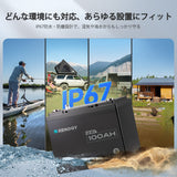 12V 100Ah トローリングモーターリン酸鉄リチウムイオンバッテリー Bluetooth付き