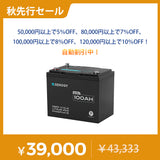 12V 100Ah トローリングモーターリン酸鉄リチウムイオンバッテリー Bluetooth付き