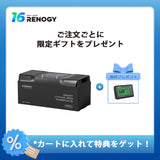 ヒート機能付き 12V 200Ah/100Ah Pro シリーズ リン酸鉄リチウムイオンバッテリー Bluetooth内蔵