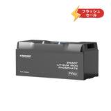 ヒート機能付き 12V 200Ah/100Ah Pro シリーズ リン酸鉄リチウムイオンバッテリー Bluetooth内蔵