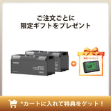 ヒート機能付き 12V 200Ah/100Ah Pro シリーズ リン酸鉄リチウムイオンバッテリー Bluetooth内蔵