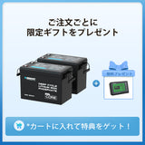 12V 300Ah/200Ah/100Ah Core シリーズ Mini リン酸鉄リチウムイオンバッテリー