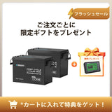 12V 200Ah Coreシリーズ Mini リン酸鉄リチウムイオンバッテリー