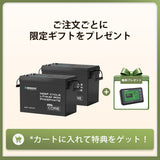 12V 300Ah/200Ah/100Ah Core シリーズ Mini リン酸鉄リチウムイオンバッテリー
