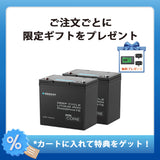 【2点/4点セット】12V 200Ah Coreシリーズ Mini リン酸鉄リチウムイオンバッテリー