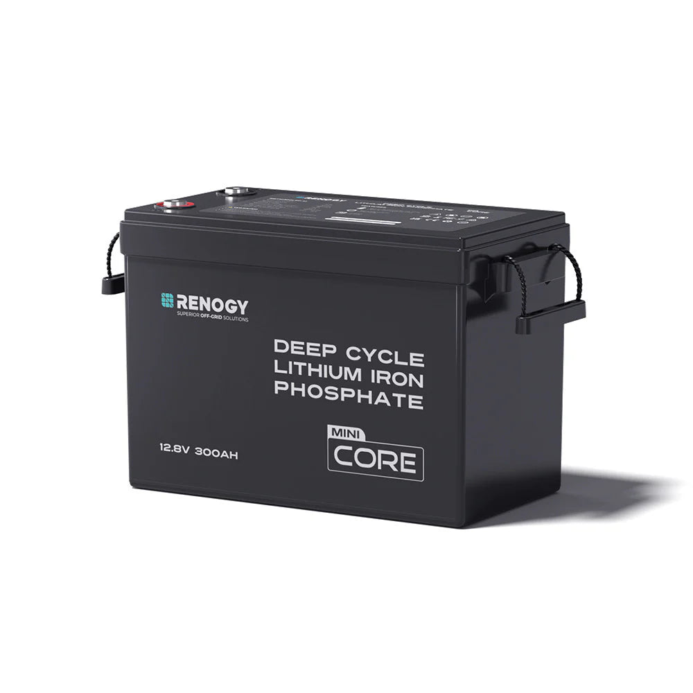 12V 300Ah/200Ah/100Ah Core シリーズ Mini リン酸鉄リチウムイオンバッテリー