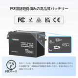 12V 300Ah Coreシリーズ Mini リン酸鉄リチウムイオンバッテリー