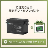 12V 300Ah/200Ah/100Ah Core シリーズ Mini リン酸鉄リチウムイオンバッテリー