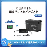 12V 300Ah Coreシリーズ Mini リン酸鉄リチウムイオンバッテリー