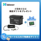 12V 300Ah Coreシリーズ Mini リン酸鉄リチウムイオンバッテリー