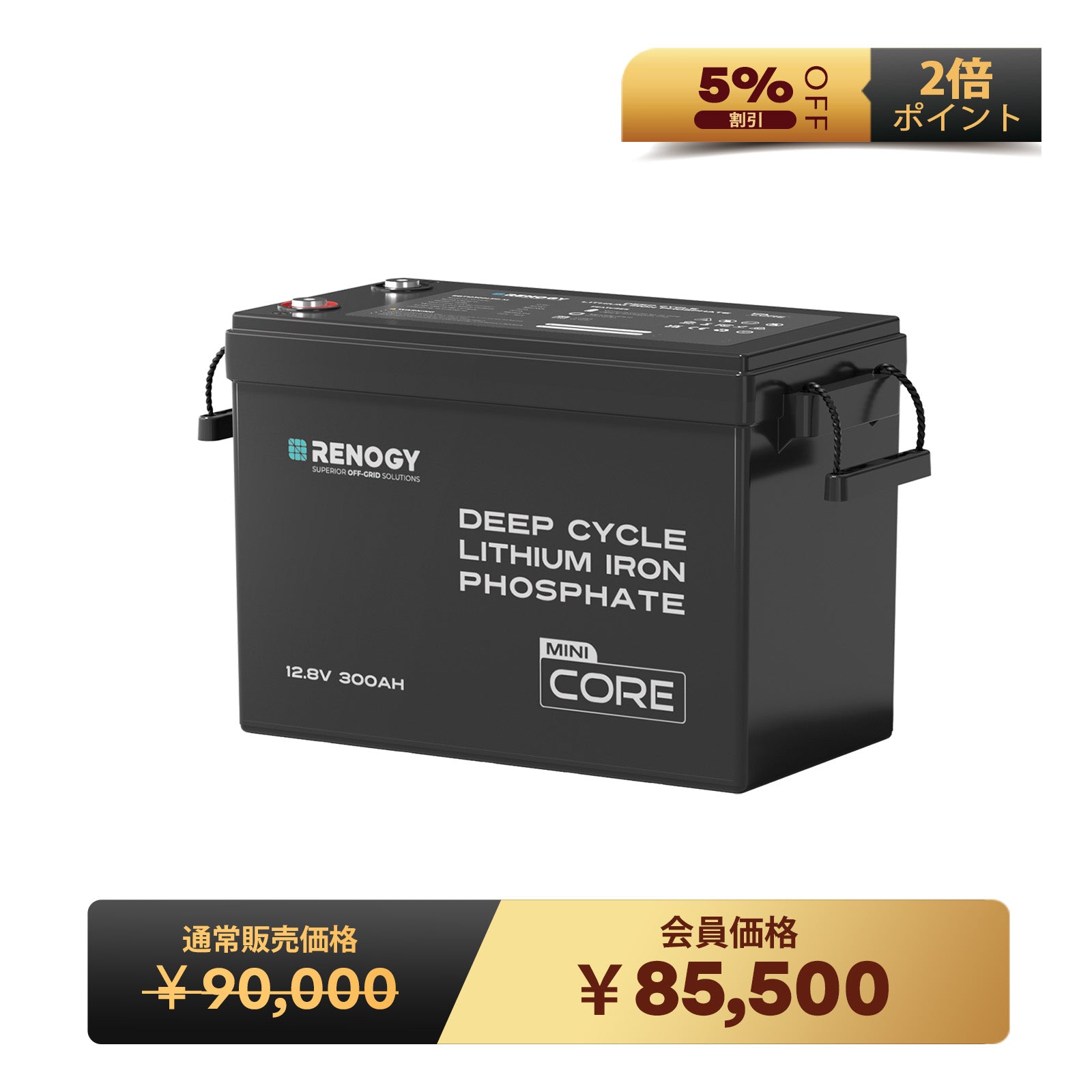 12V 40A DC-DC 走行充電器 | Renogy JP