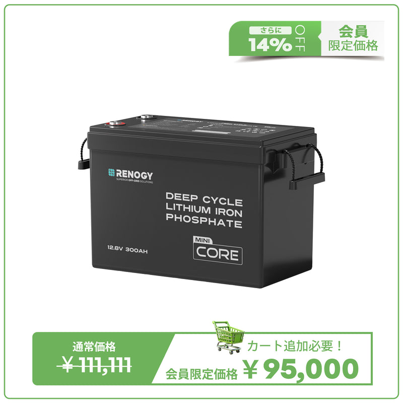 12V 300Ah Coreシリーズ Mini リン酸鉄リチウムイオンバッテリー