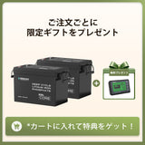 【2点/4点セット】12V 300Ah Coreシリーズ Mini リン酸鉄リチウムイオンバッテリー
