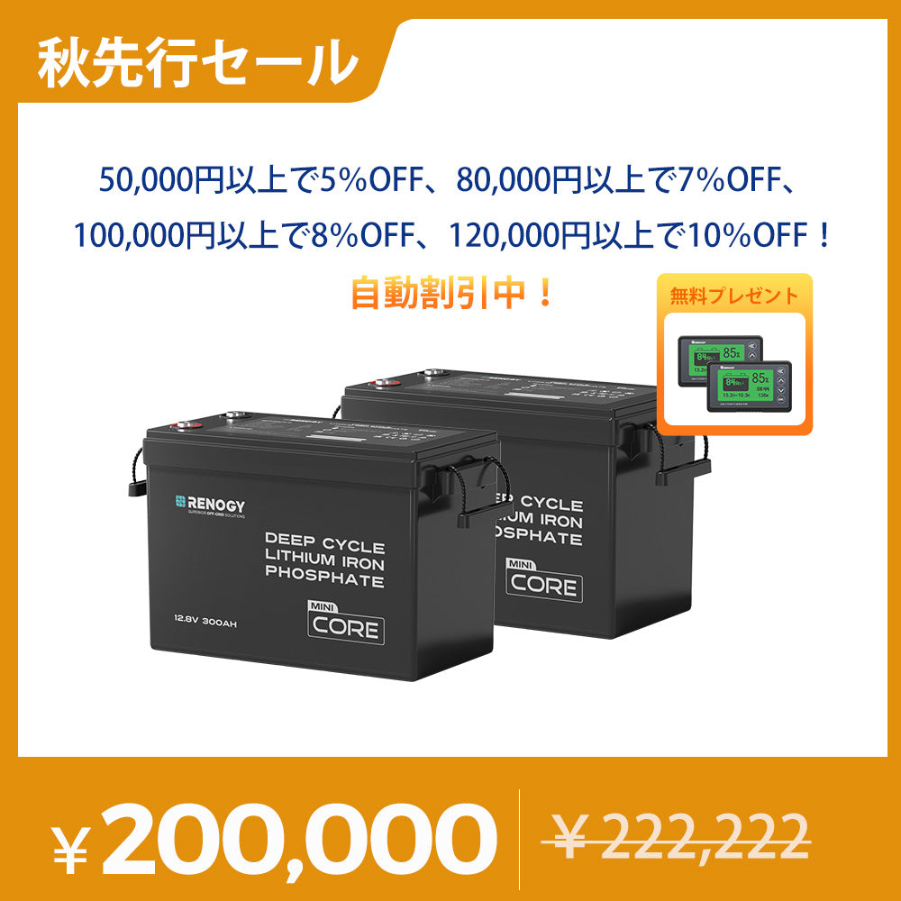12V 20A DC-DC 走行充電器 | Renogy JP