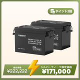 12V 300Ah/200Ah/100Ah Core シリーズ Mini リン酸鉄リチウムイオンバッテリー