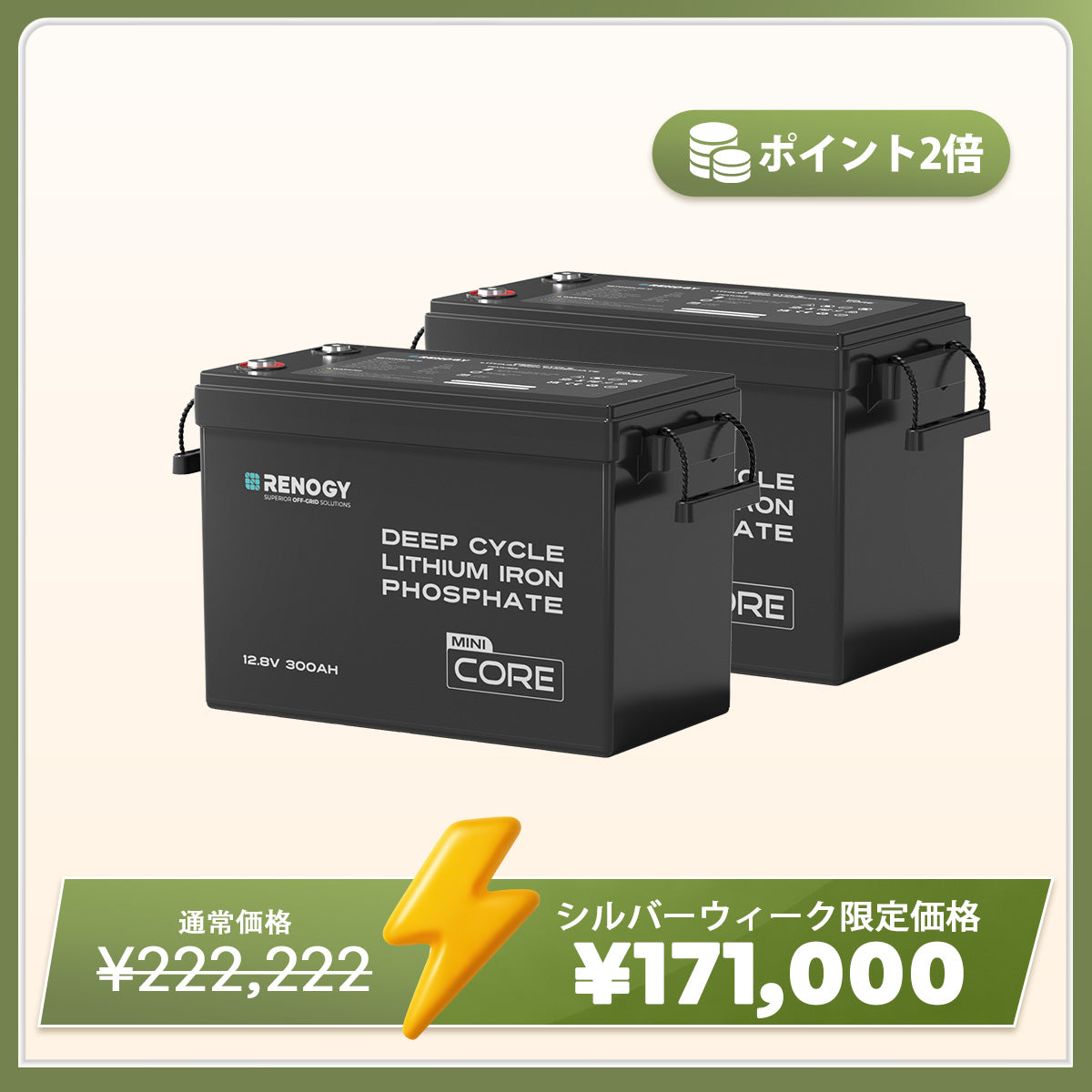 12V 300Ah Coreシリーズ Mini リン酸鉄リチウムイオンバッテリー